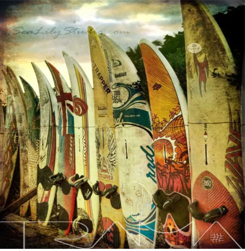 Camiseta Surf Shape