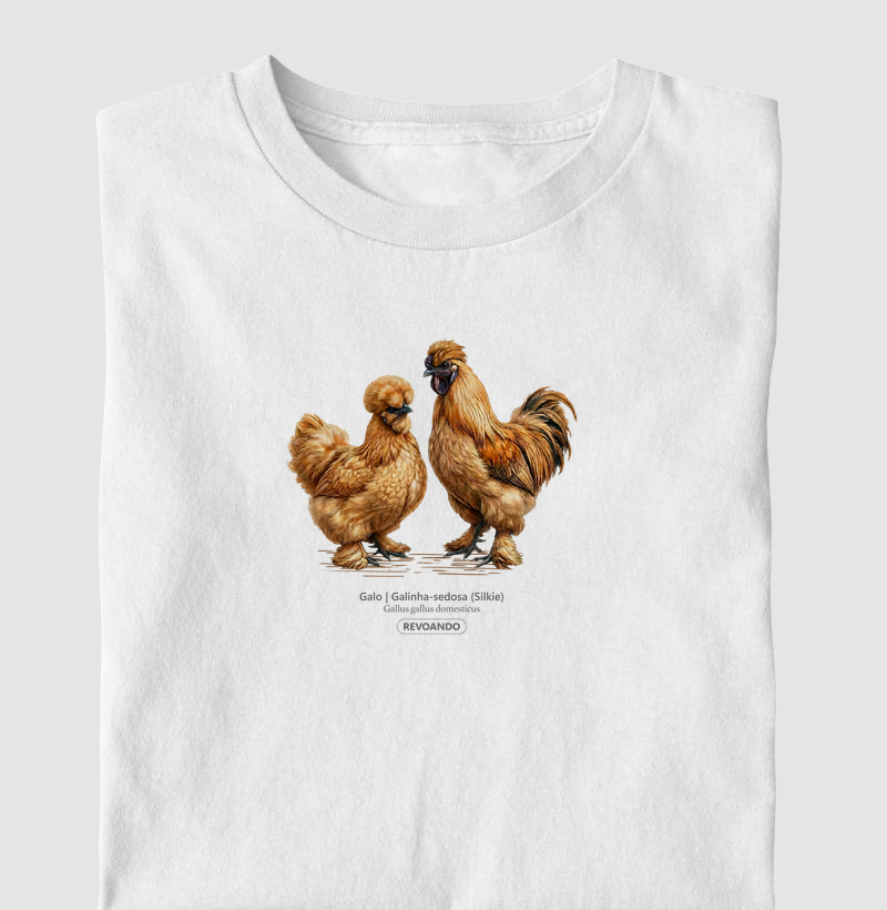 Traços Alados - Galo | Galinha-sedosa - Infantil