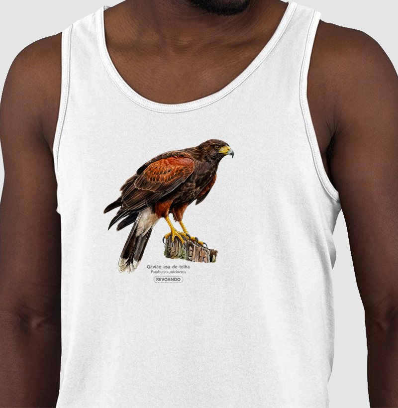 Traços Alados - Gavião-asa-de-telha - Regata