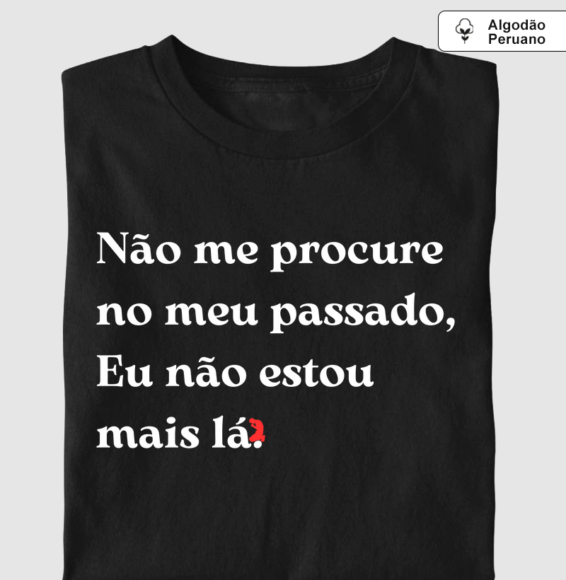 Não me procure no meu passado, Eu não estou  mais lá. (letra branca)