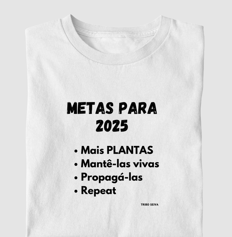 Metas para 2025
