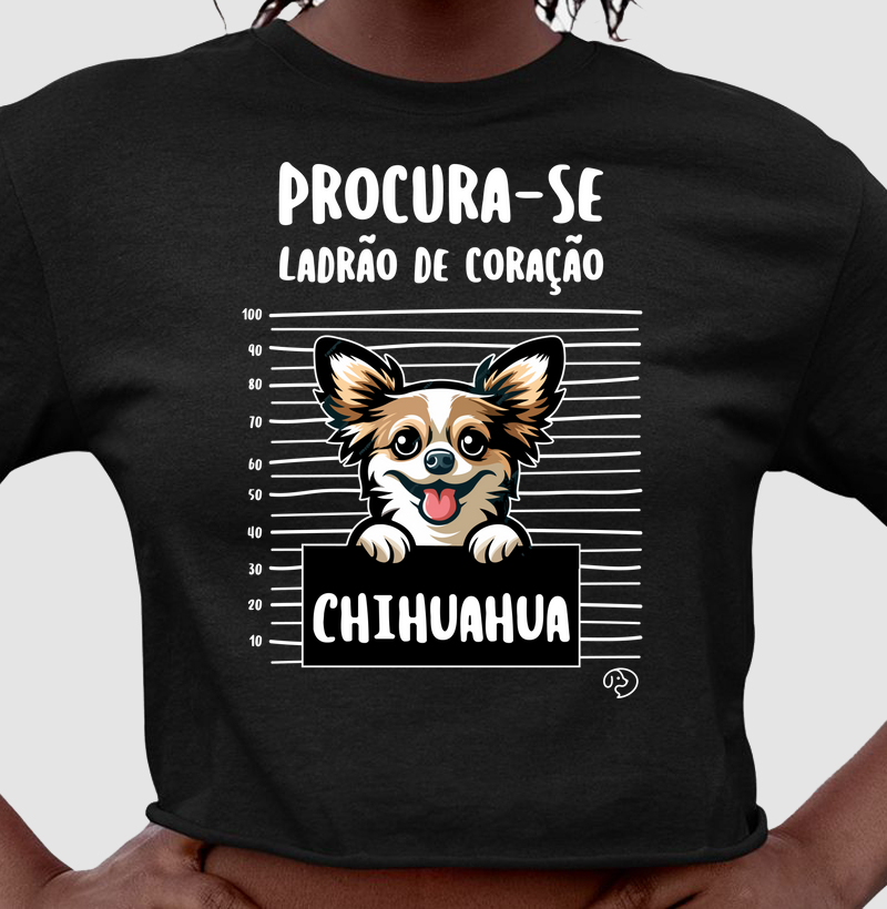 Chihuahua Ladrão de Coração