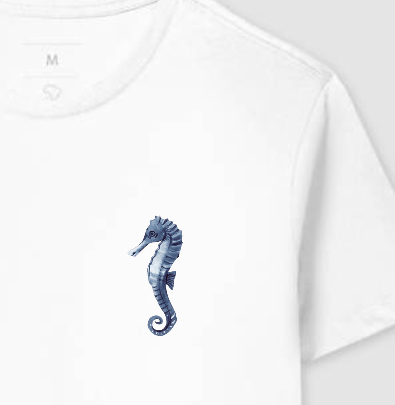 Oceano Creative - Cavalo-Marinho