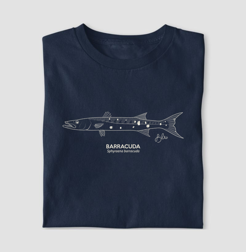 Barracuda Minimalismo