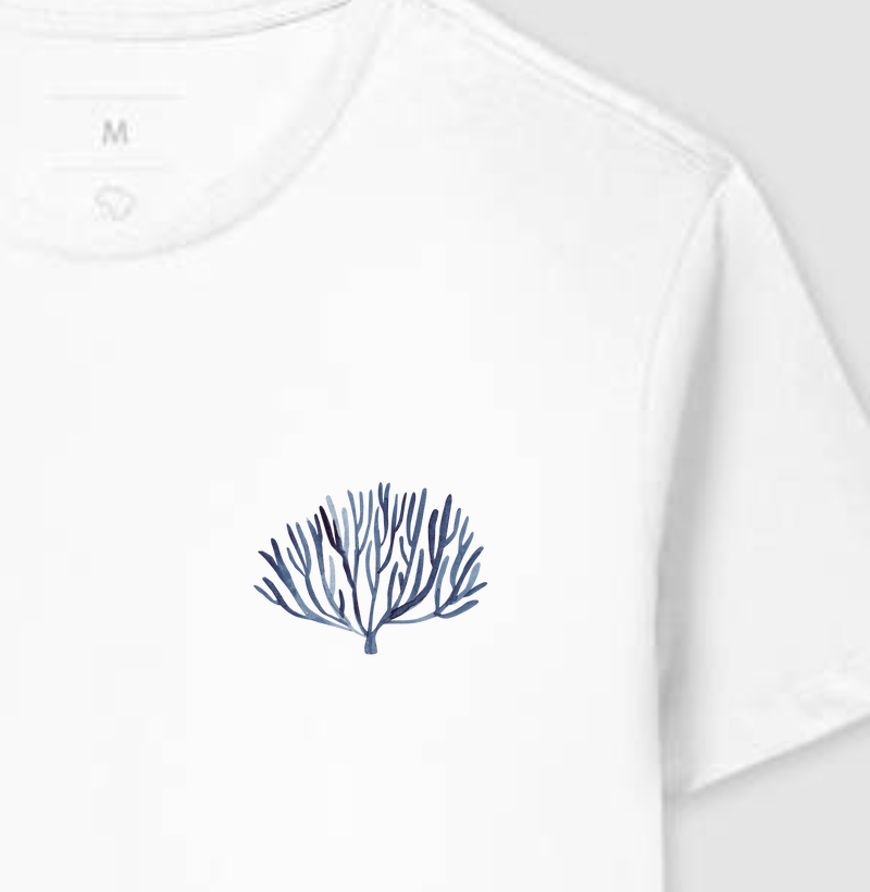 Oceano Creative - Coral