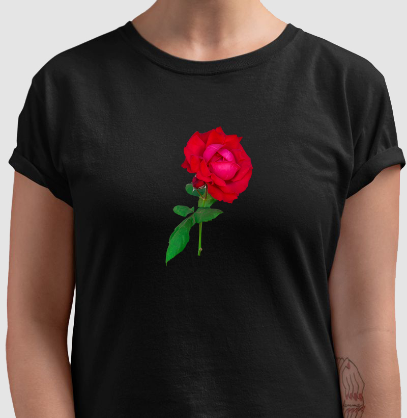 Rosa