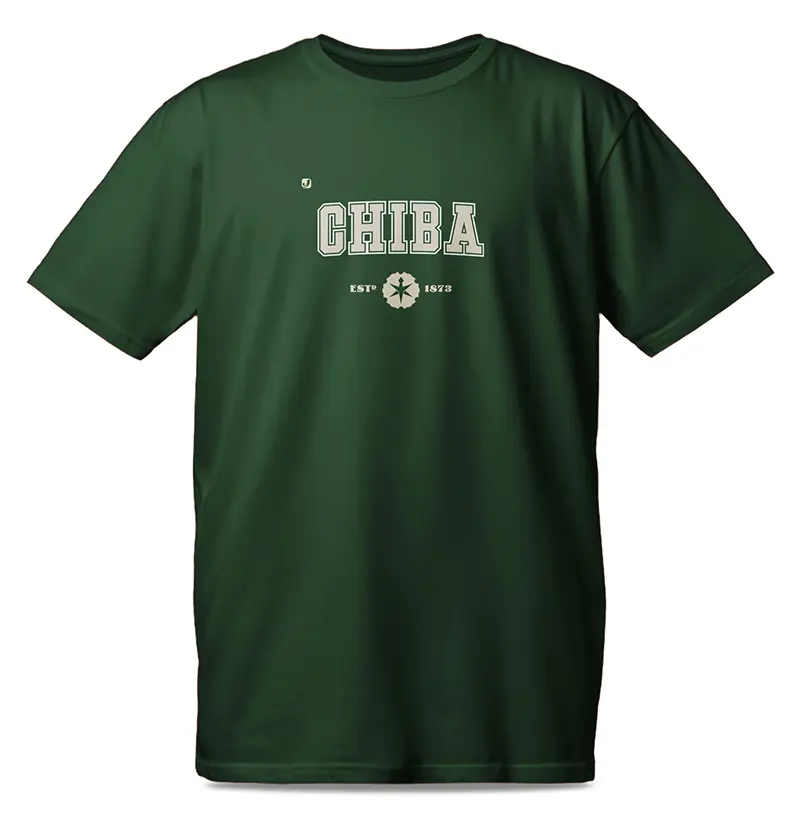 Província de Chiba