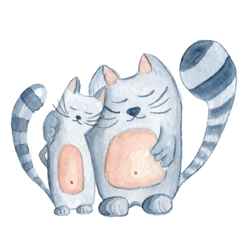 Camiseta Cat Love duplinha