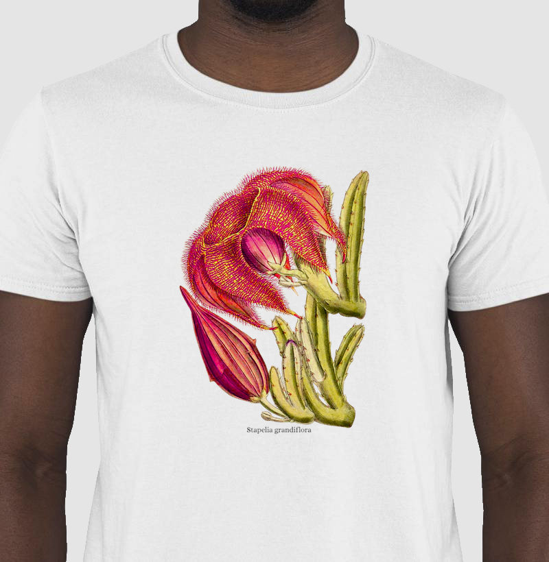 Camiseta Tshirt Stapelia grandiflora