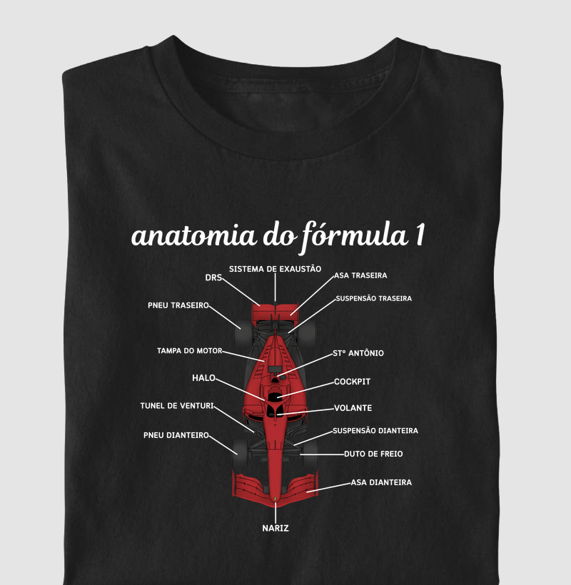 Anatomia do Fórmula 1