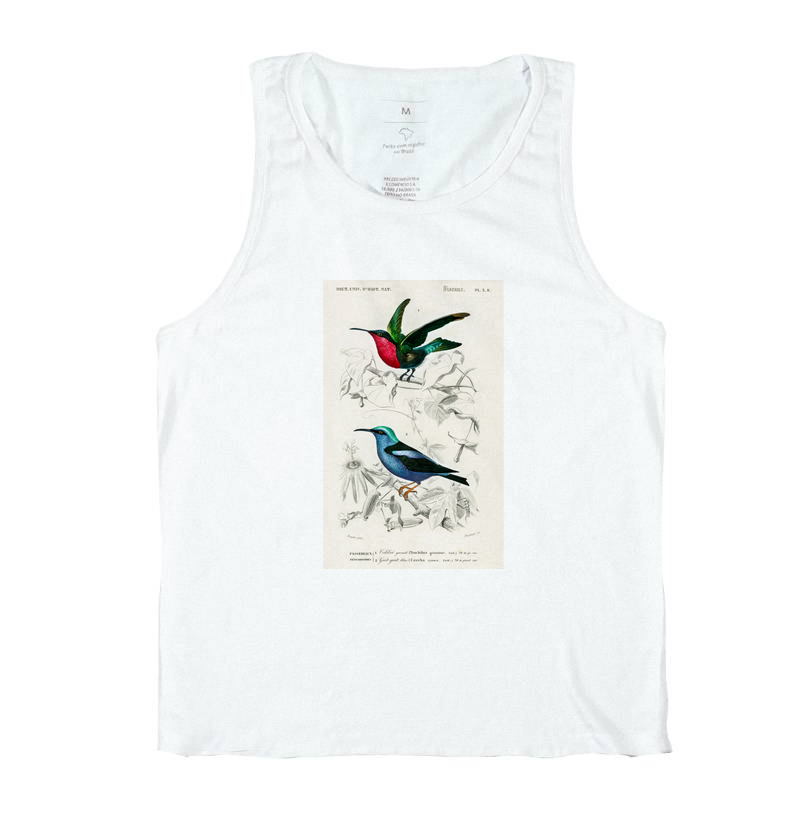 Colibri e Saíra-beija-flor
