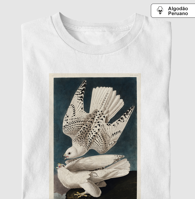 Iceland Jer Falcon