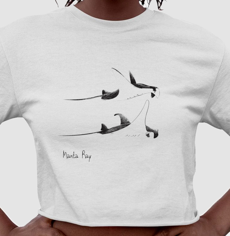 Manta Ray