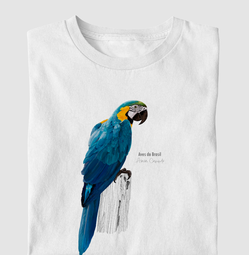 Aves do Brasil II - Arara Canindé