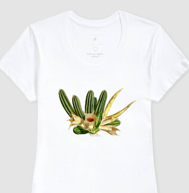 Camiseta Feminina Tavaresia barklyi
