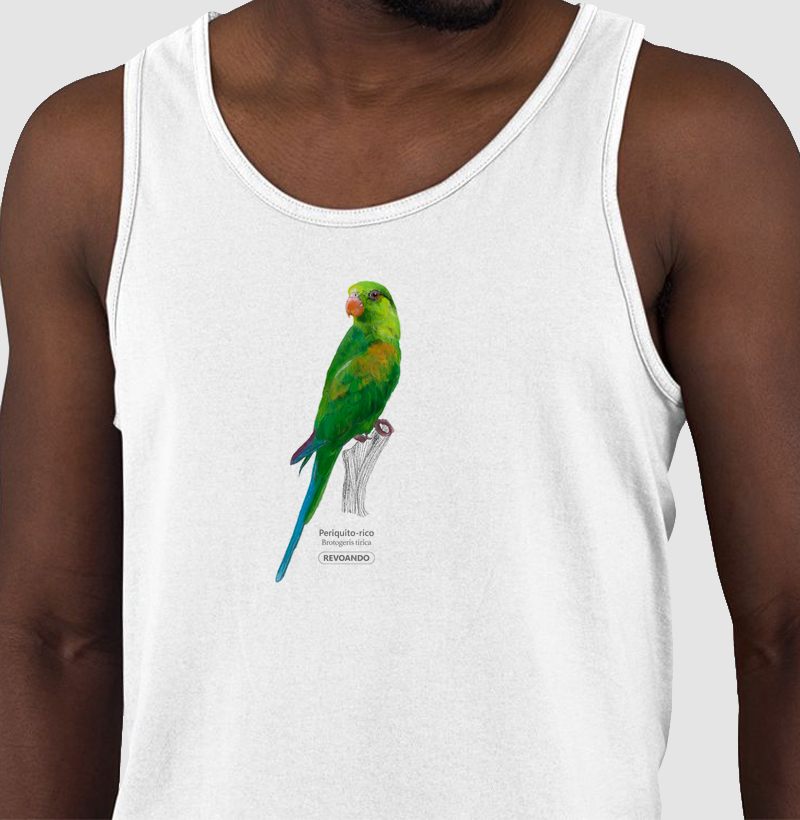 Aves do Brasil - Periquito-rico - Regata