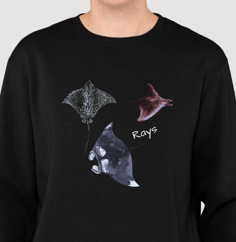 Rays