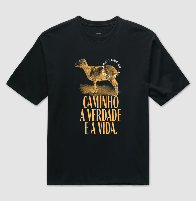 O CAMINHO, A VERDADE E A VIDA