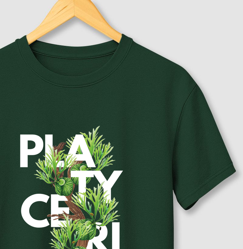 PLATY JÔ LETTERING 
