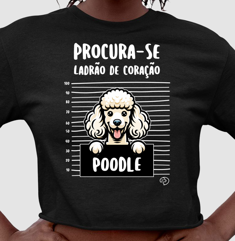 Poodle Ladrão de Coração