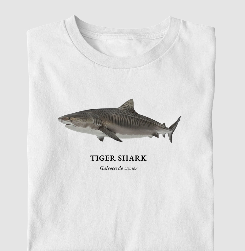 Tiger Shark