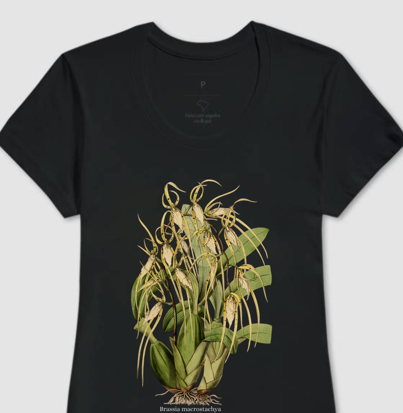 Camiseta Feminina Baby Long Brassia macrostachya
