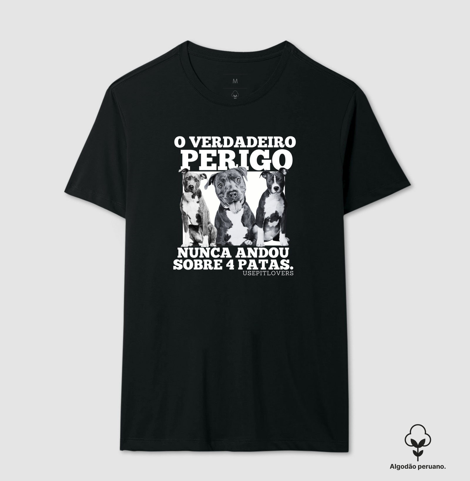 O VERDADEIRO PERIGO NUNCA ANDOU SOBRE 4 PATAS