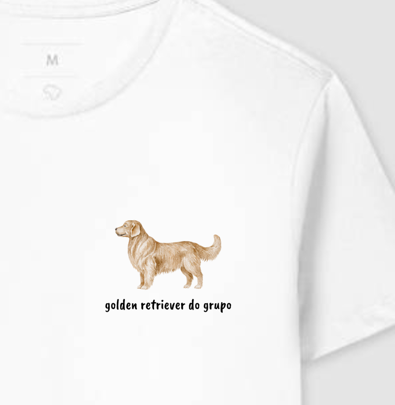 Golden Retriever do Grupo