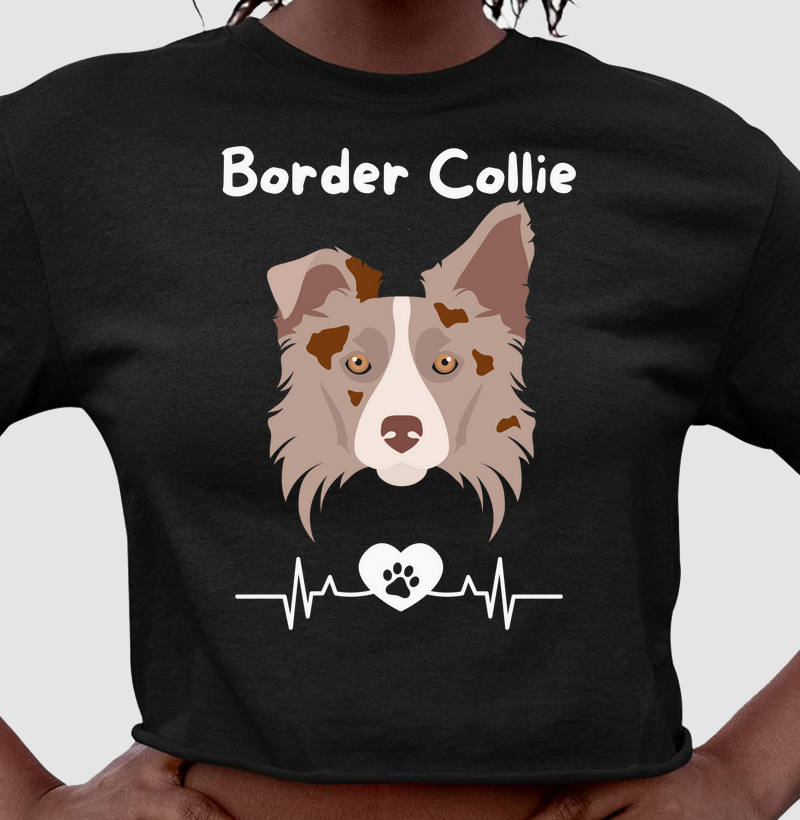 Border eletro