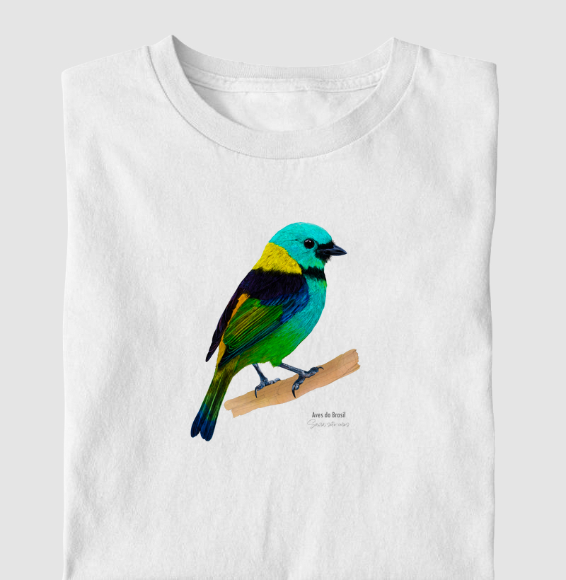 Aves do Brasil- Saíra-sete-cores - Infantil