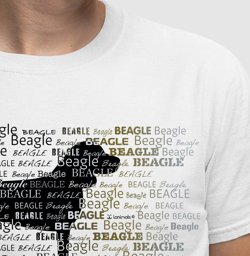 Beagle - Tessitura