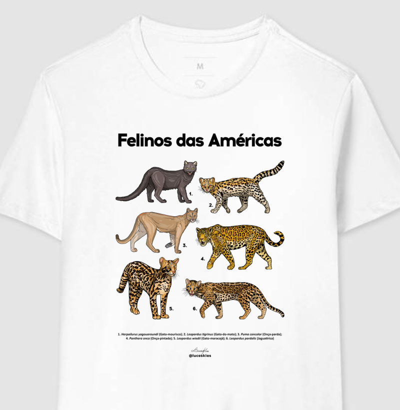 Felinos das Américas - Modelo A
