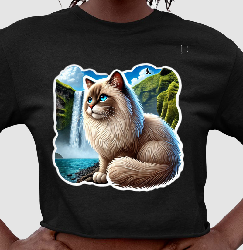 Gato - Ragdoll