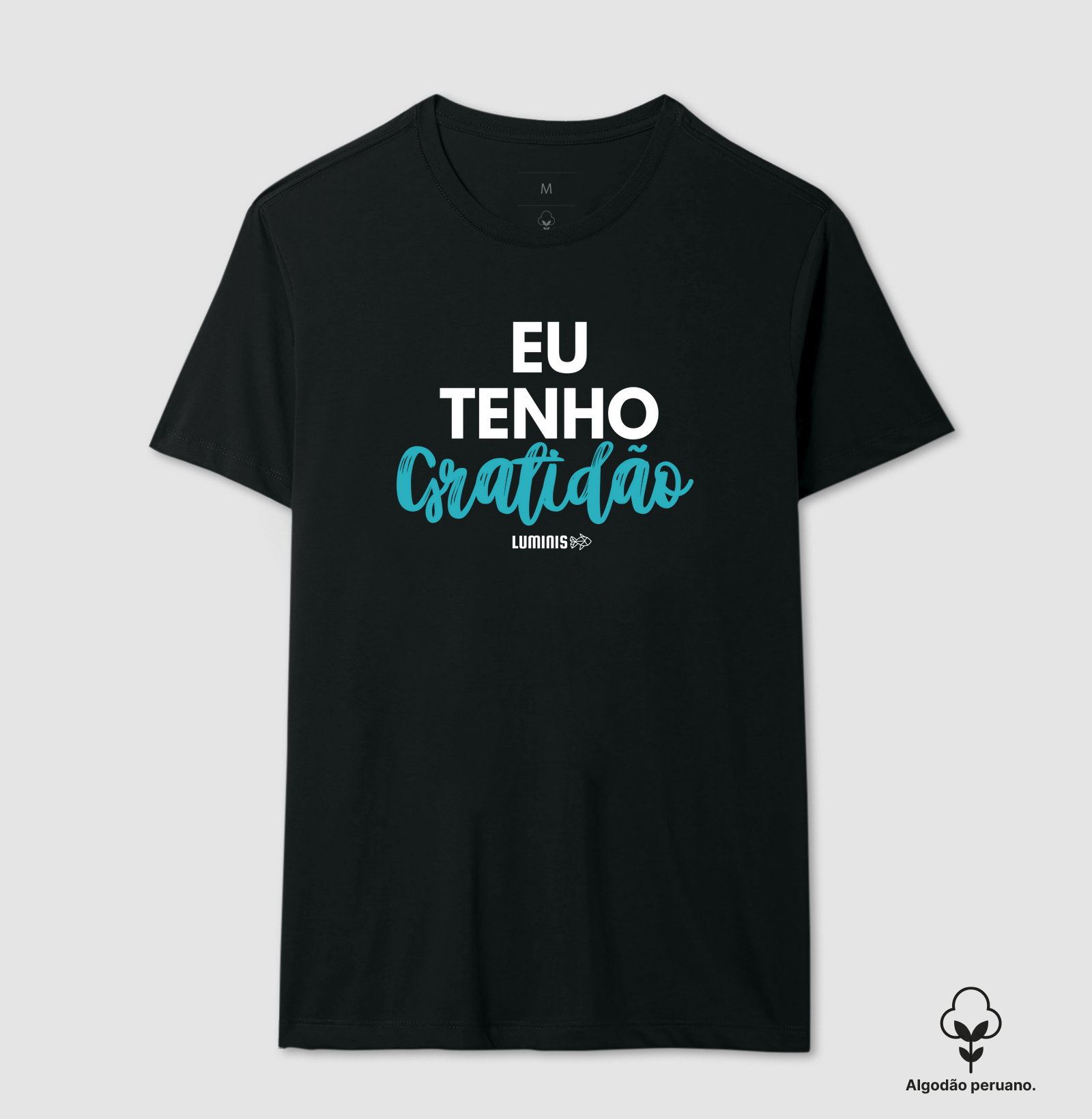 Eu tenho Gratidão