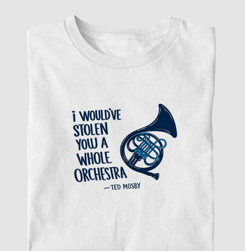 I should stolen you a whole orchestra - How i met your mother