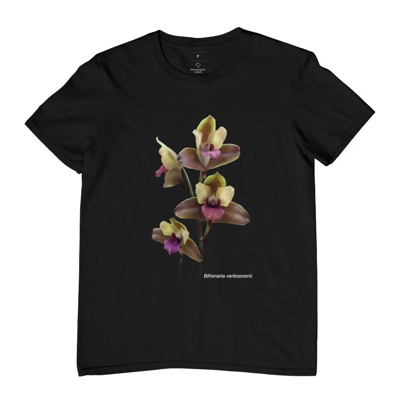 Bifrenaria verboonenii