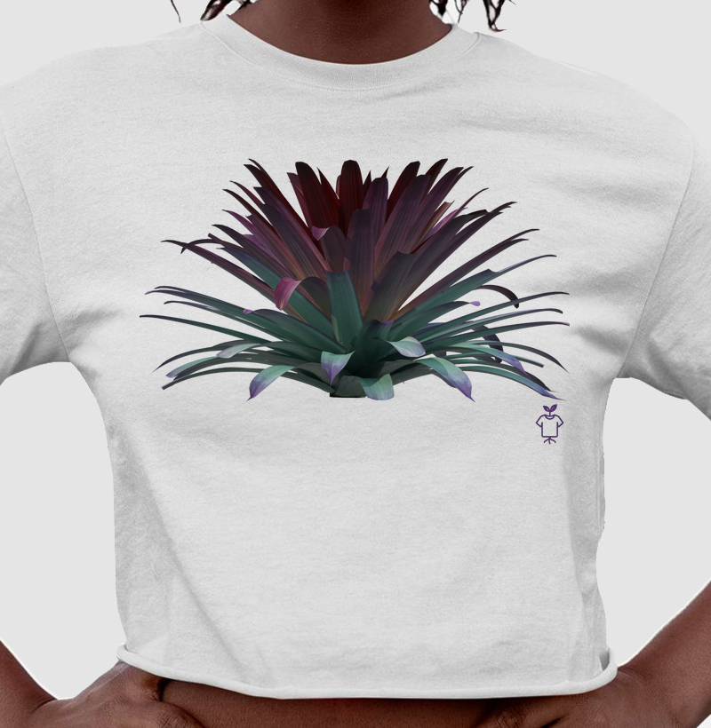 Bromélia
