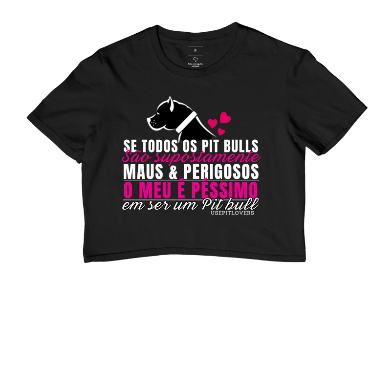 SE TODOS OS PIT BULLS SÃO SUPOSTAMENTE MAUS & PERIGOSOS O MEU É PESSIMO EM SER UM PIT BULL