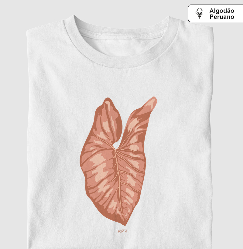 Folha de caladium rosa