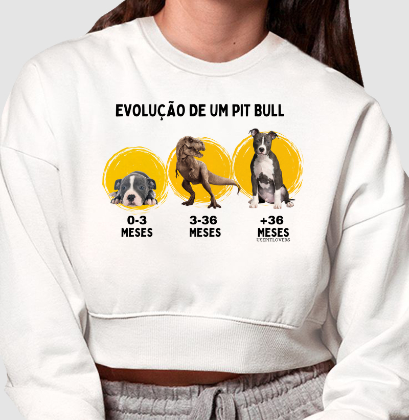 Evolução de um Pit Bull 