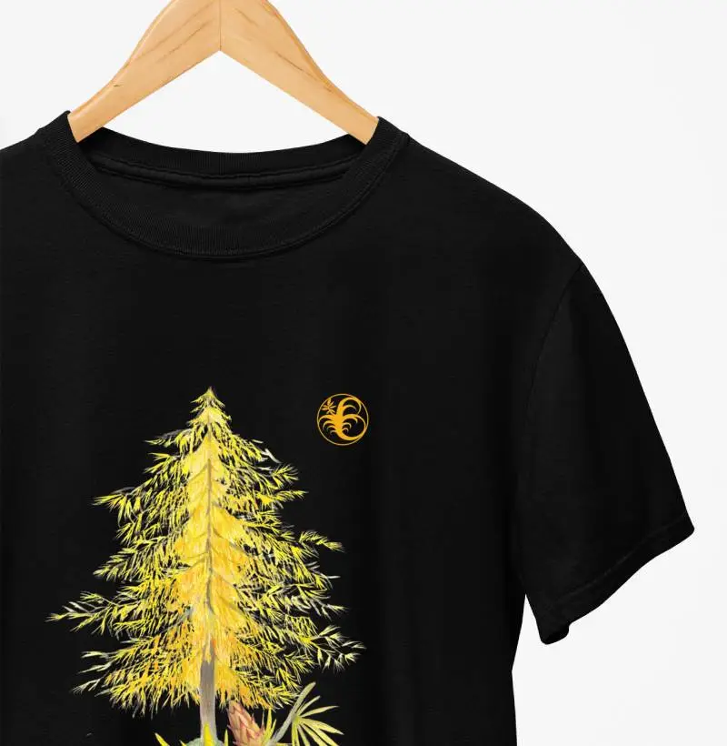 Larix lialli 