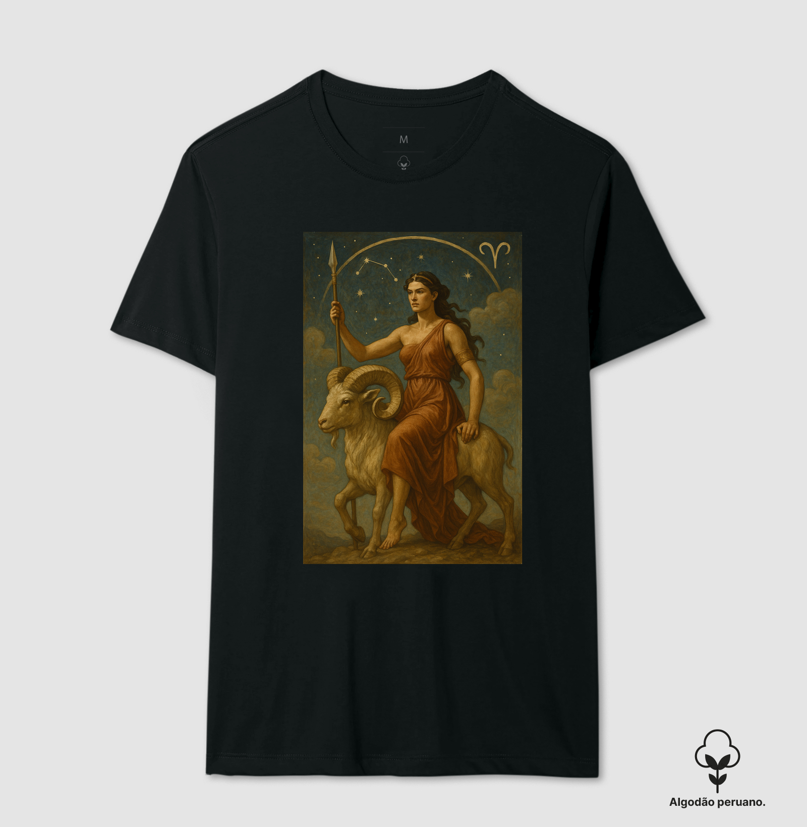 Aries IV