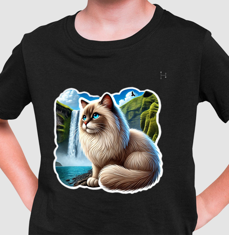 Gato - Ragdoll