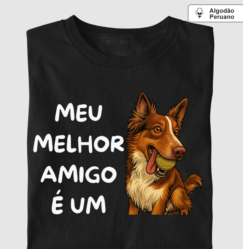 Meu melhor amigo é um border collie