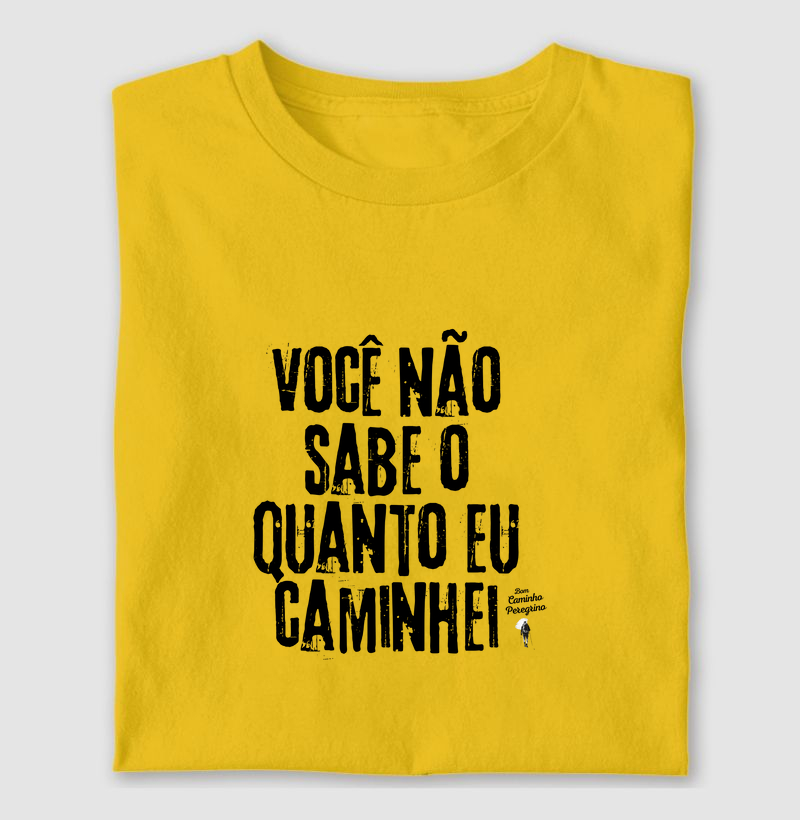 Você Não Sabe o quanto Caminhei