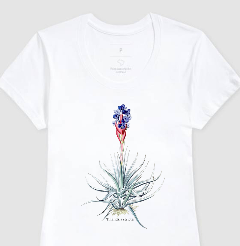 Camiseta Feminina Tillandsia stricta 2