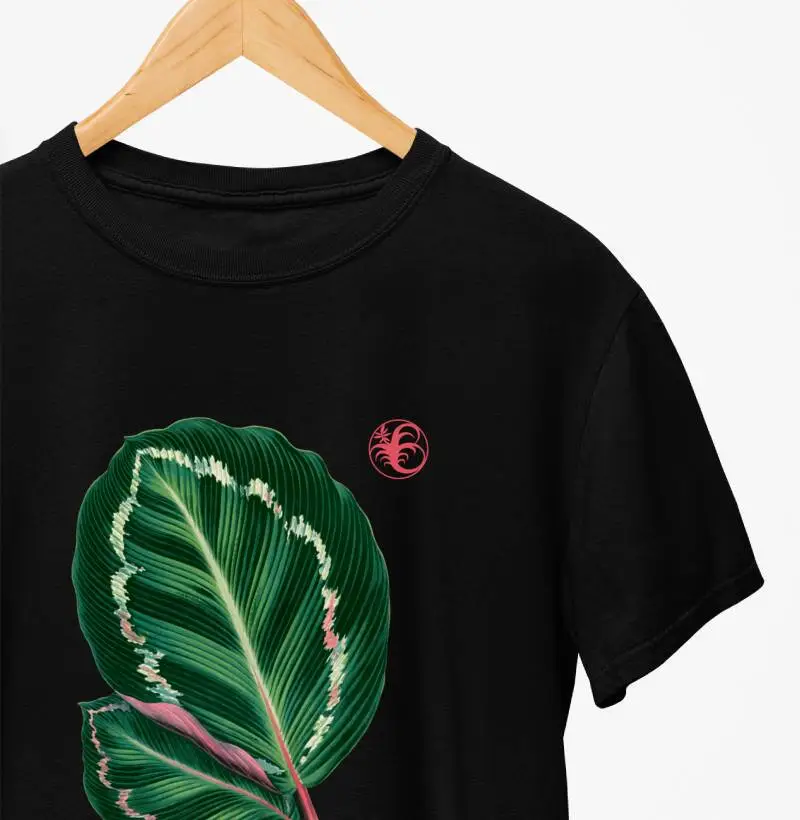 MARANTA I