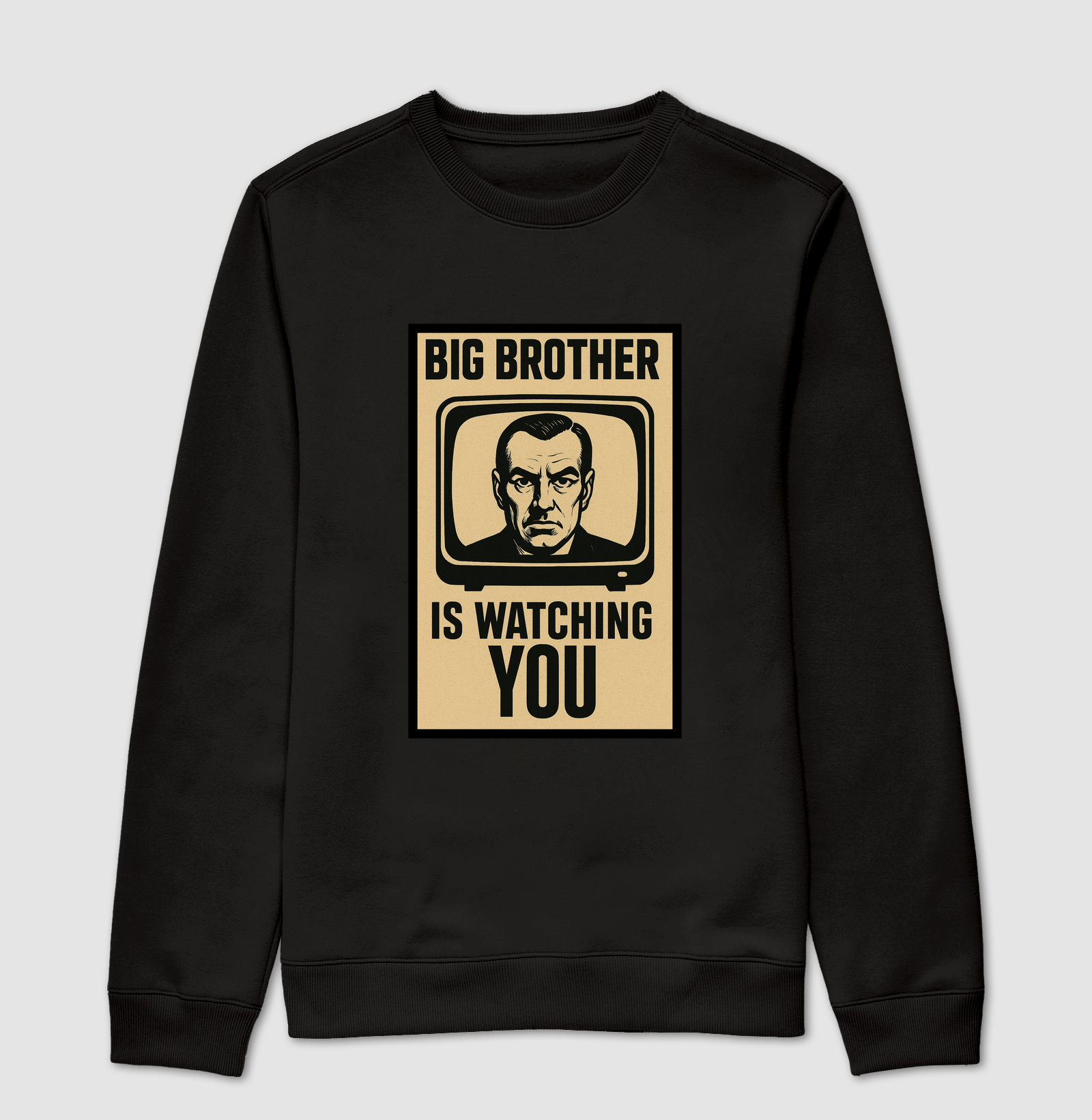 Big Brother is Watching You