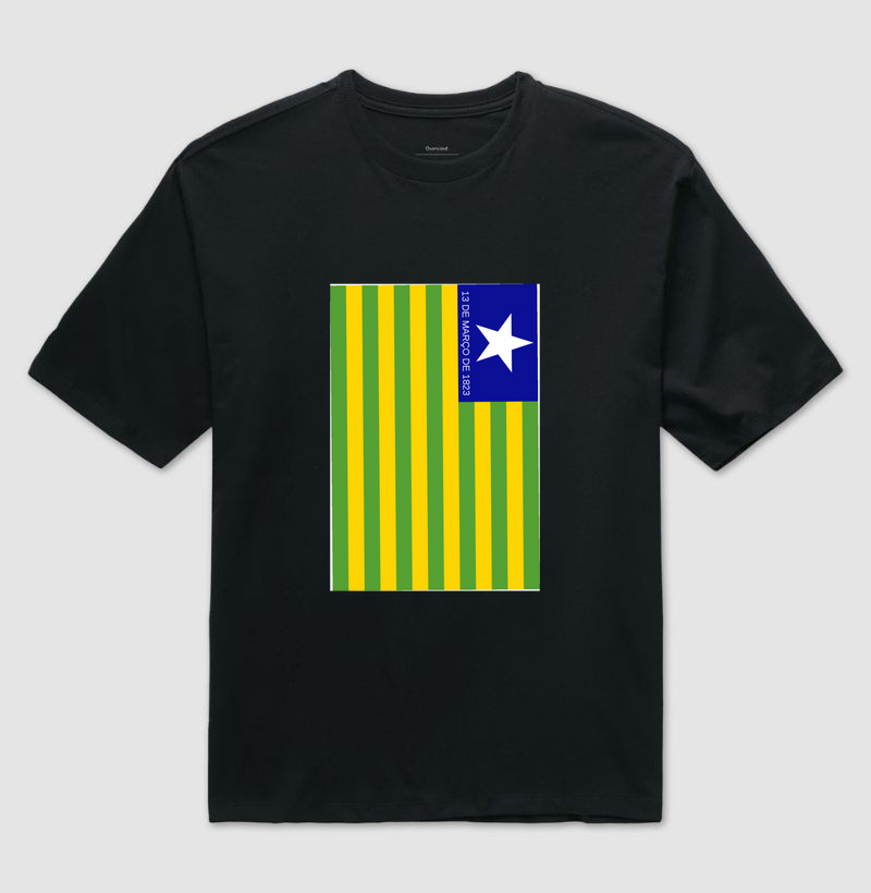Camisa bandeira do Piaui