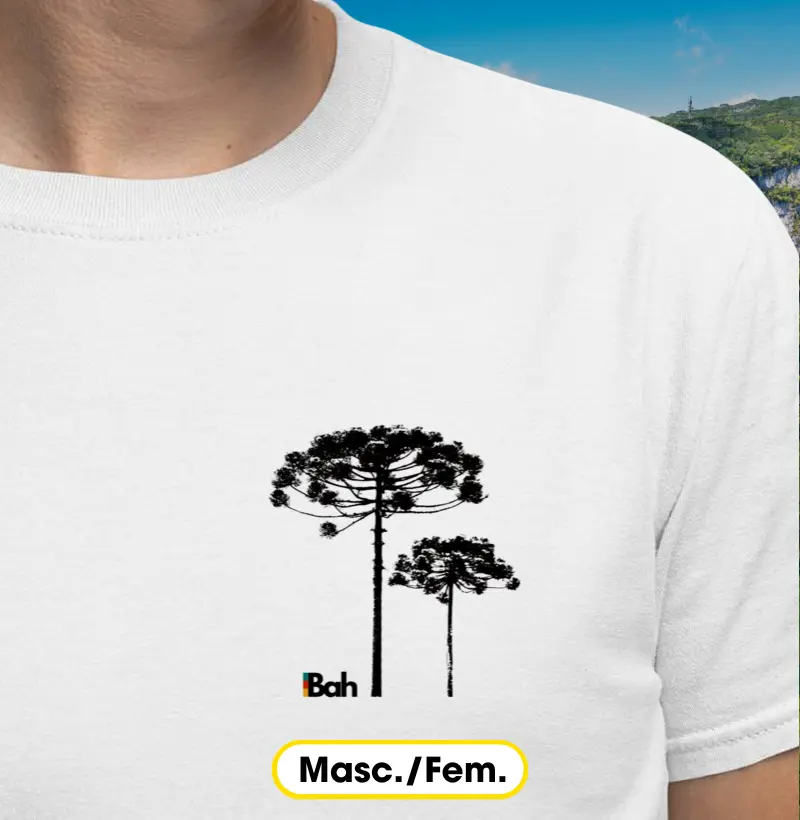 Araucária